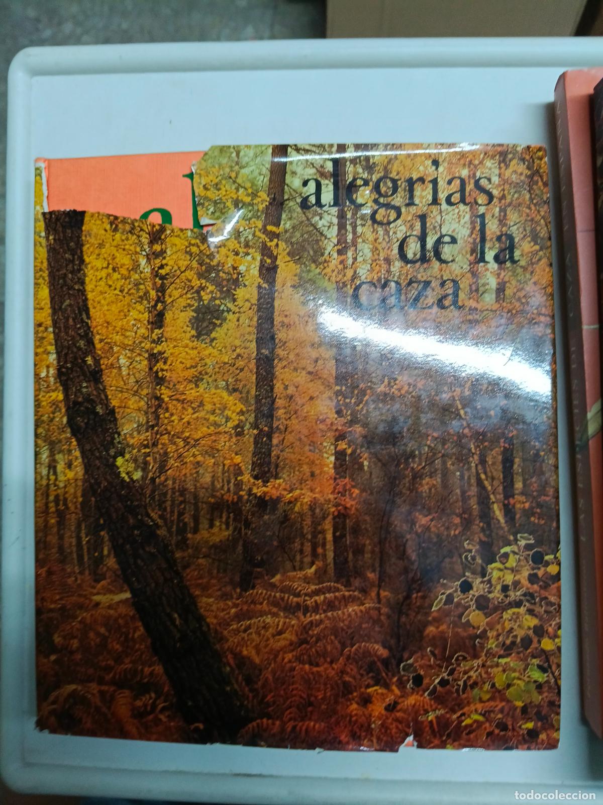 Libros de segunda mano: ALEGR&Iacute;AS DE LA CAZA - INTRODUCION A LA EDICI&Oacute;N ESPA&Ntilde;OLA POR MIGUEL DELIBES A&Ntilde;O 1977