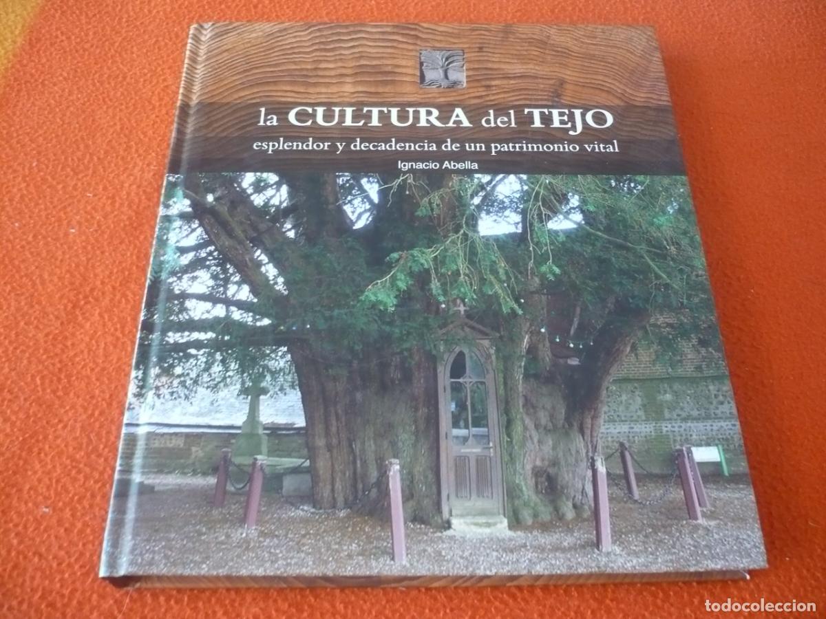 Libros de segunda mano: LA CULTURA DEL TEJO ( ABELLA ) ESPLENDOR Y DECADENCIA PATRIMONIO VITAL HISTORIA ARBOL SIMBOLO TIERRA