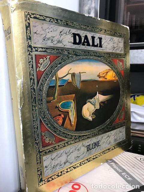 Libros de segunda mano: DAL&Iacute;. MAX GERARD. EDITORIAL BLUME. VERSI&Oacute;N CASTELLANO. 1968.