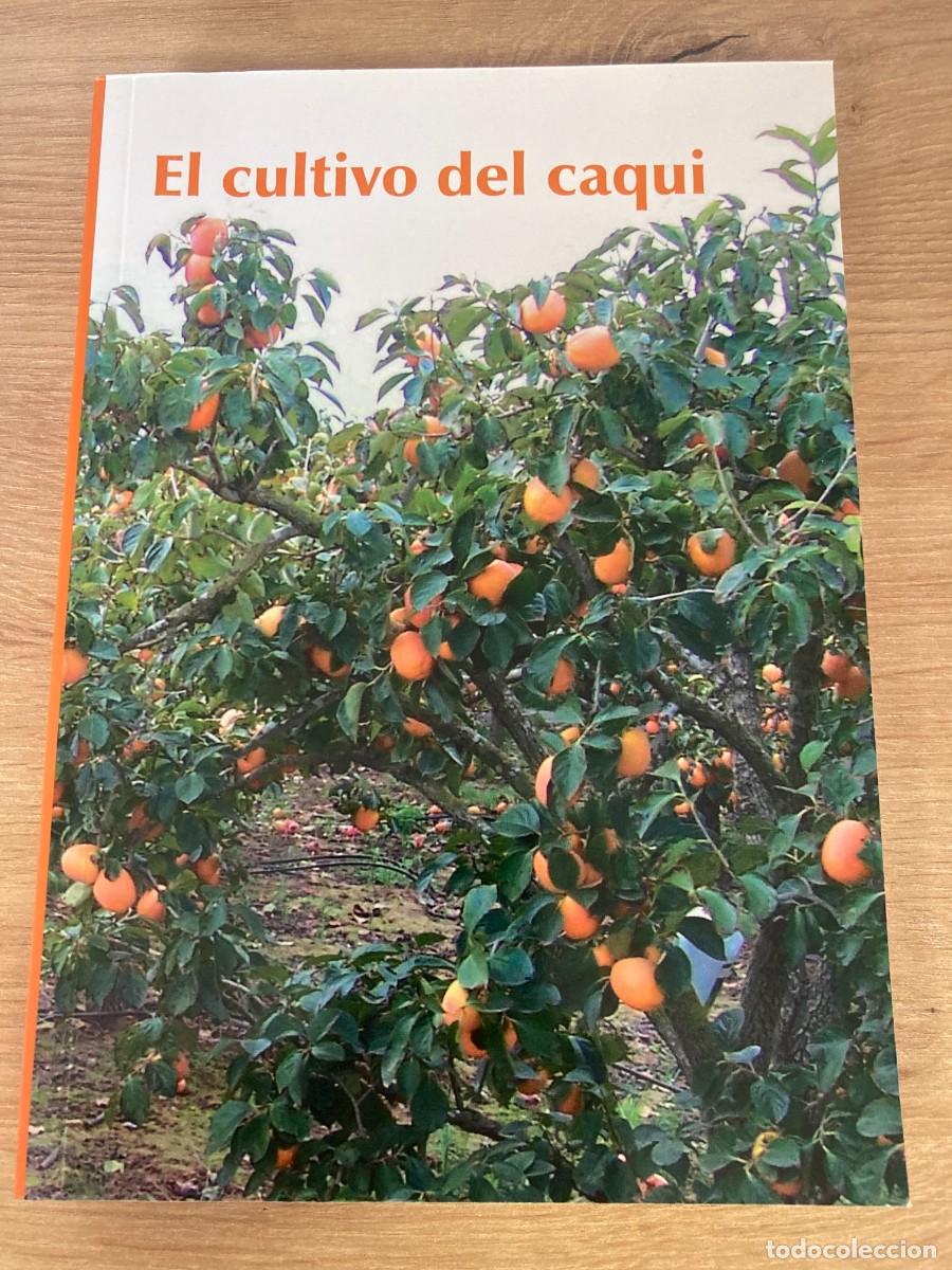 Libros de segunda mano: El cultivo del caqui