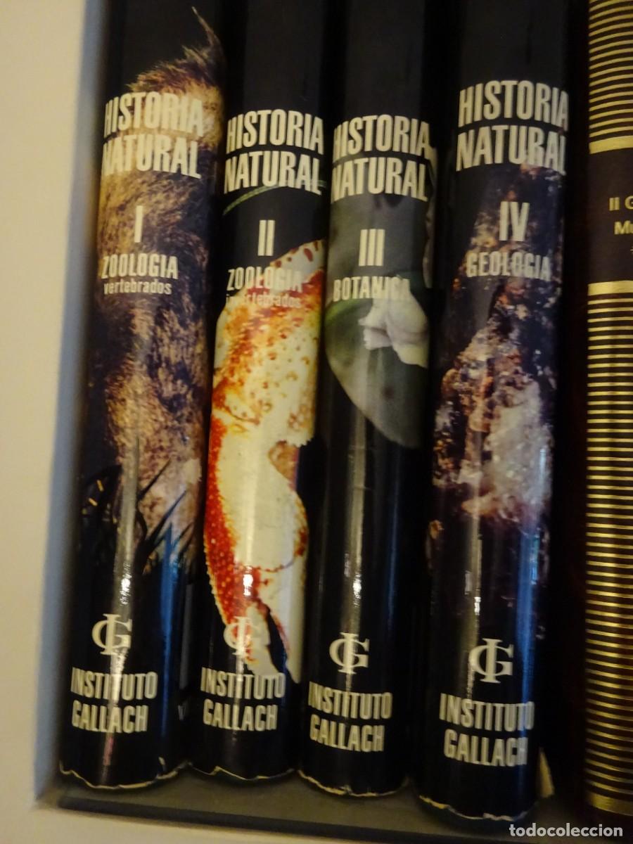 Libros de segunda mano: HISTORIA NATURAL, ZOOLOG&Iacute;A (2), BOT&Aacute;NICA, GEOLOG&Iacute;A,COMPLETA EN 4 TOMOS,ED. GALLACH 1971 BUEN ESTADO