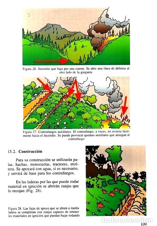 Libros de segunda mano: MANUAL BASICO DEL BOMBERO. GOBIERNO VASCO. VICTORIA 1995. - Foto 11