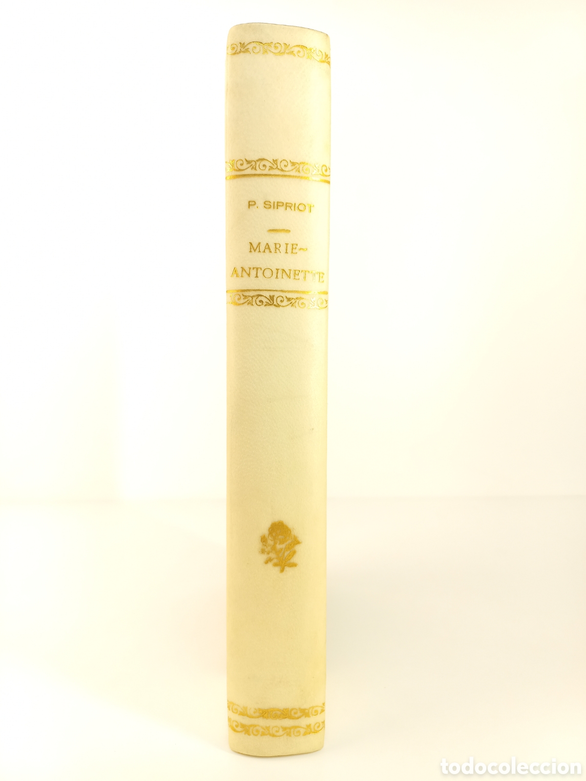 Libros de segunda mano: Lo soixante derniers jours de Marie-Antoinette. Pierre Sipriot. Librairie Plon, 1993.