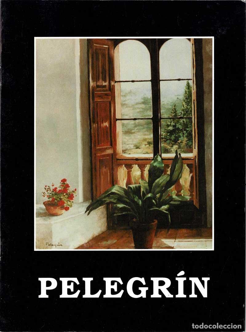 Libros de segunda mano: Pelegr&iacute;n. Cat&aacute;logo de exposici&oacute;n, 1991