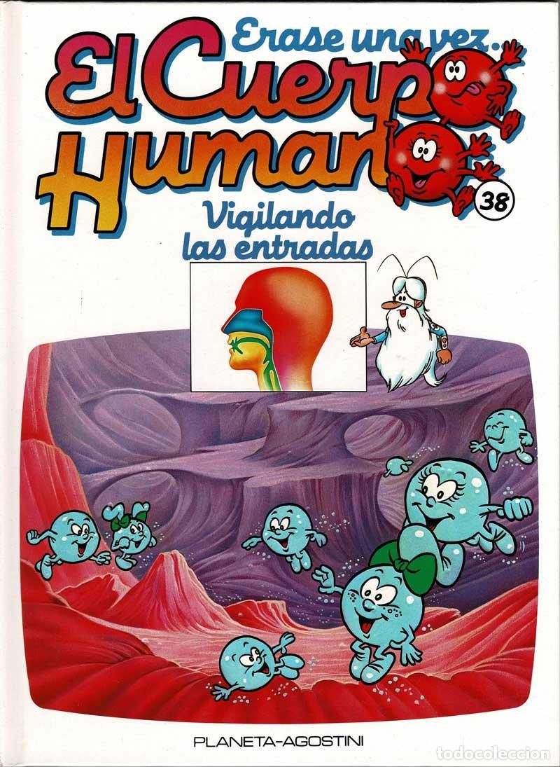 Libros de segunda mano: Erase una vez. El Cuerpo Humano. Tomo 38. Vigilando las entradas
