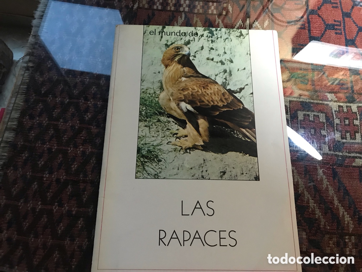 Libros de segunda mano: El mundo de las rapaces . Cosme Morillo