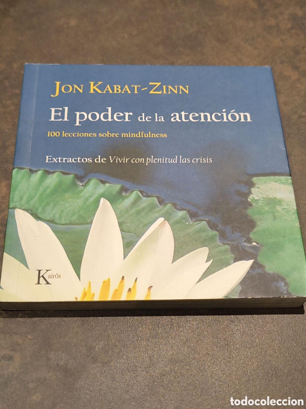 Libros de segunda mano: EL PODER DE LA ATENCION. 100 LECCIONES SOBRE MINDFULNESS DE JON KABAT-ZINN (KAIROS)