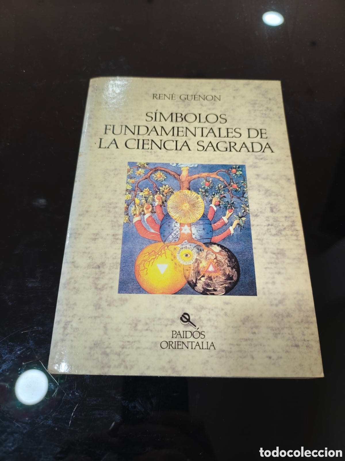 Libros de segunda mano: S&iacute;mbolos fundamentales de la ciencia sagrada. Ren&eacute; Gu&eacute;non