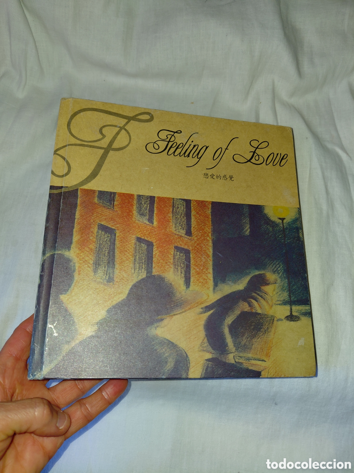Libros de segunda mano: FEELING OF LOVE.ALBUM DE FOTOS DE TESORO.CURIOSO LIBRO O ALBUM FOTOS.VER FOTOS