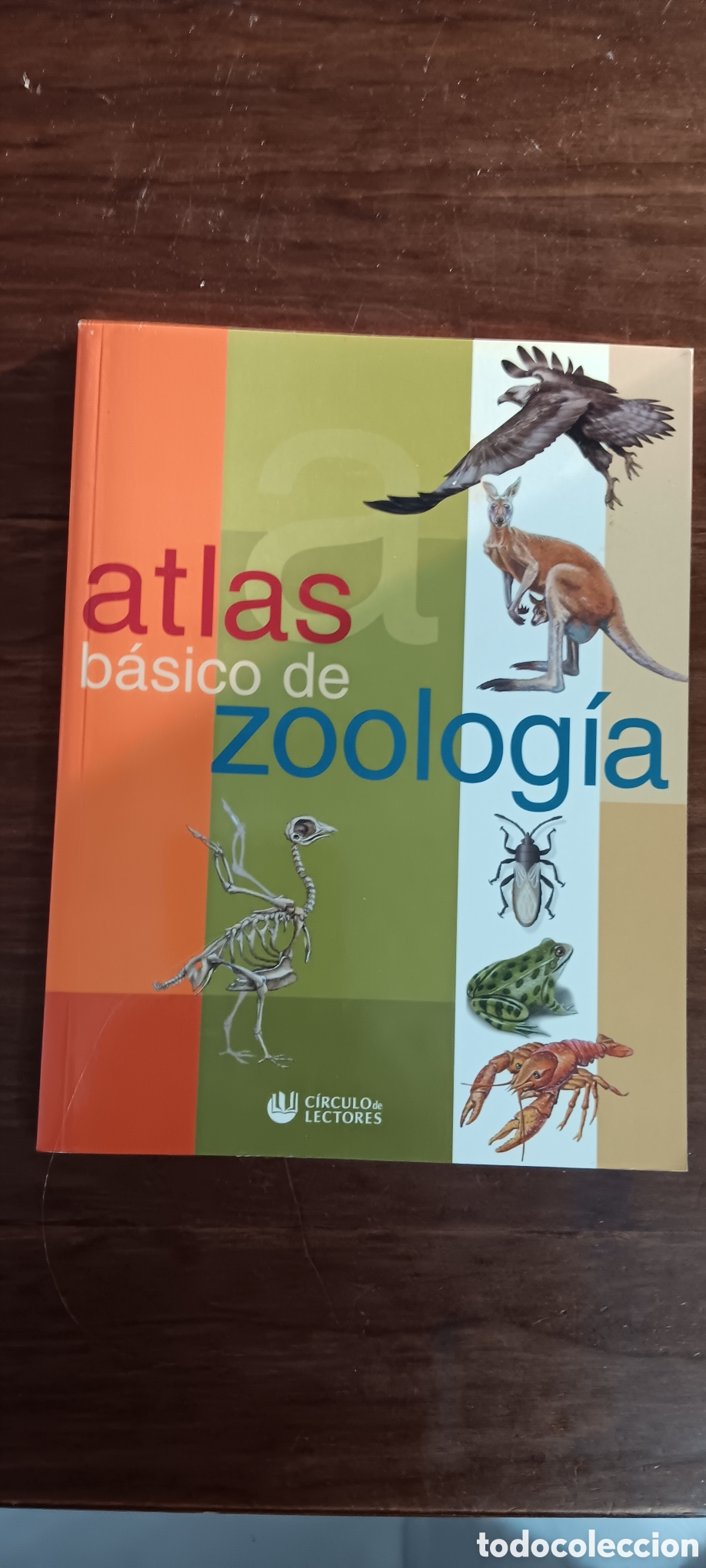 Libros de segunda mano: ATLAS B&Aacute;SICO DE ZOOLOGIA