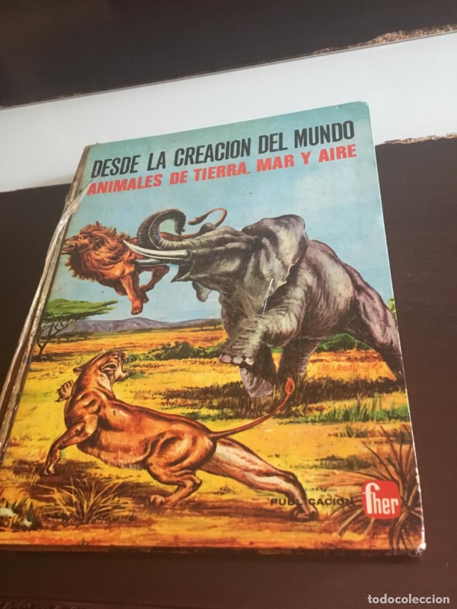 Libros de segunda mano: Libro infantil desde la creaci&oacute;n del mundo, animales de tierra, mar y aire