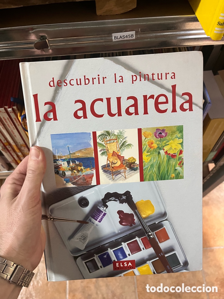 Libros de segunda mano: BLAS45B descubrir la pintura la acuarela