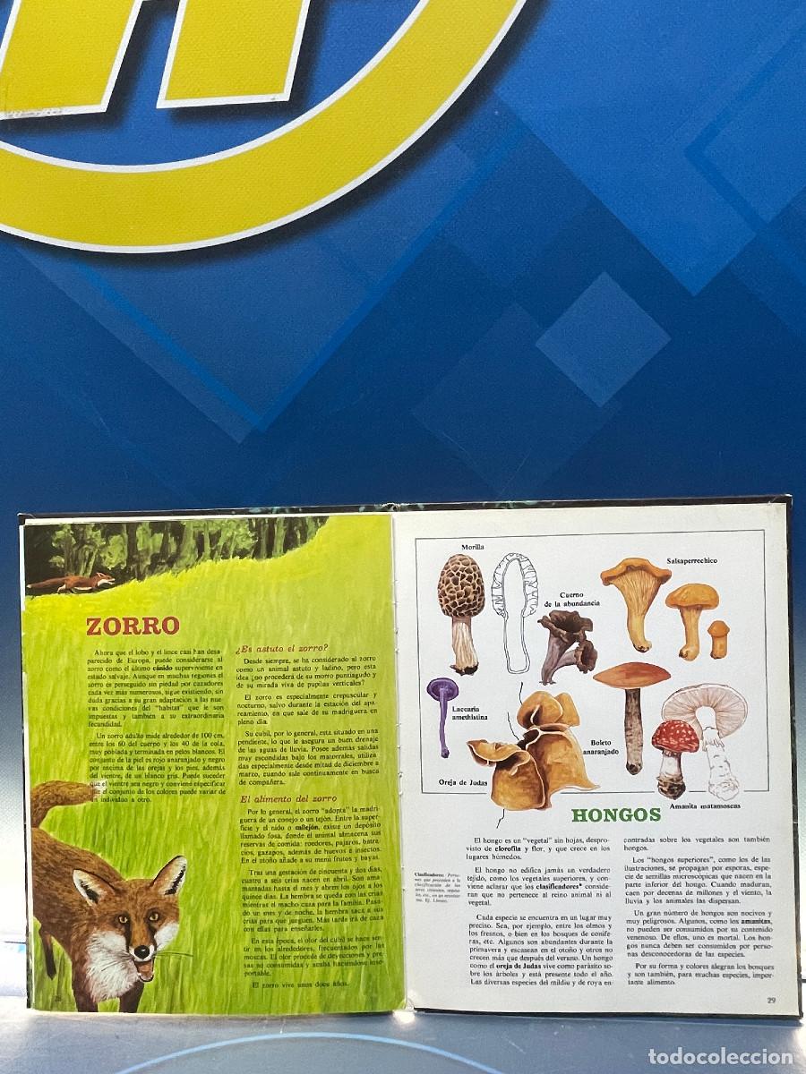 Libros de segunda mano: Los secretos del bosque - Foto 4