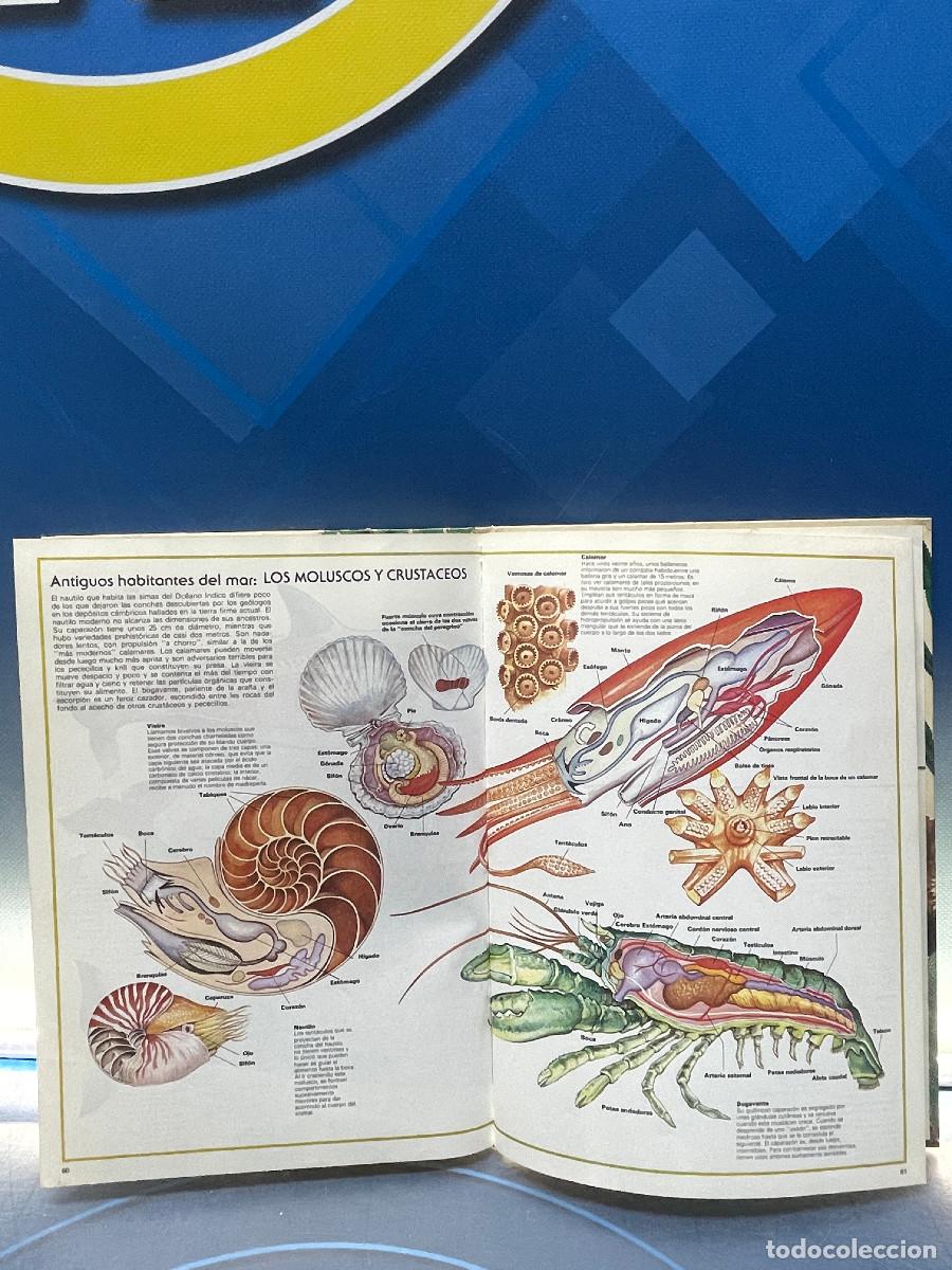 Libros de segunda mano: Libro, Tu y la naturaleza - Foto 4