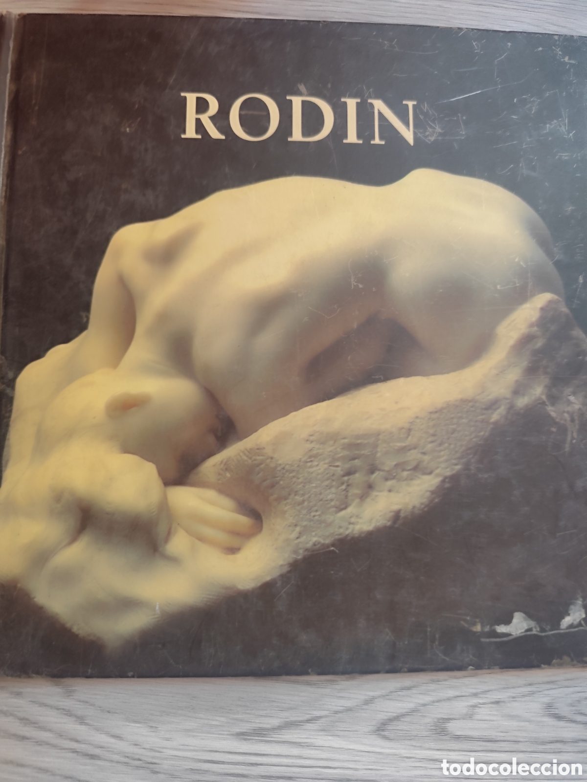 Livres d'occasion: AUGUSTE RODIN REFERENCIA 139G