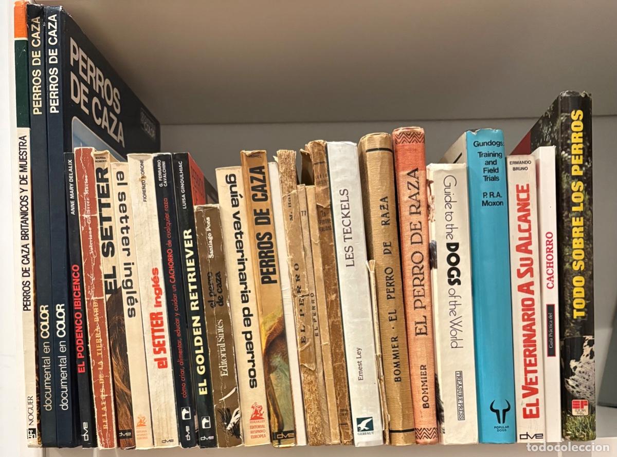 Libros de segunda mano: LOTE DE LIBROS DE PERROS, 27 TITULOS, SEGUN LA FOTO