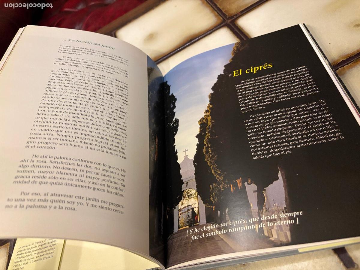Libros de segunda mano: Reflejos de una vida. Antonio Gala. - Foto 4