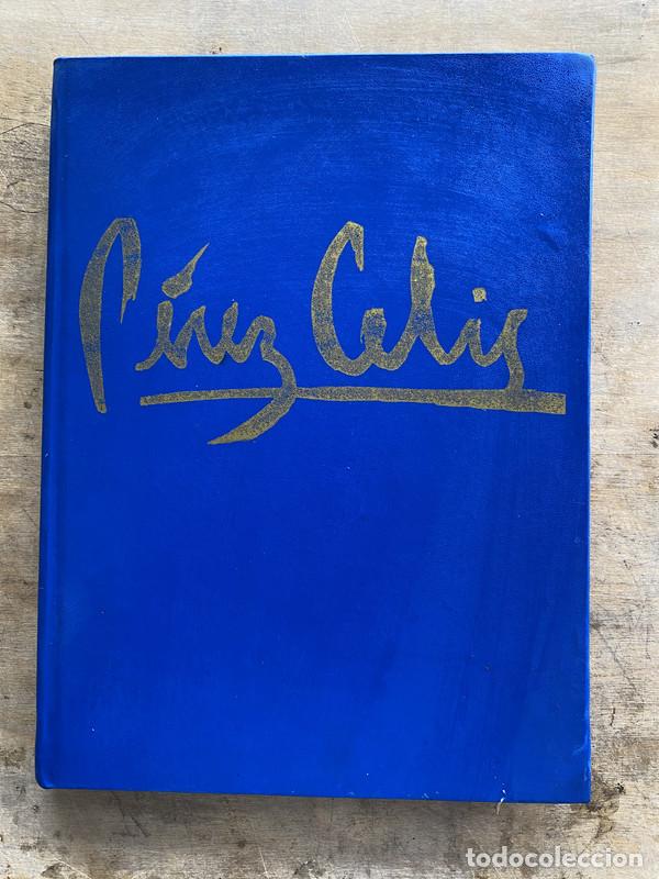 Libros de segunda mano: Perez Celis - Squirru Rafael