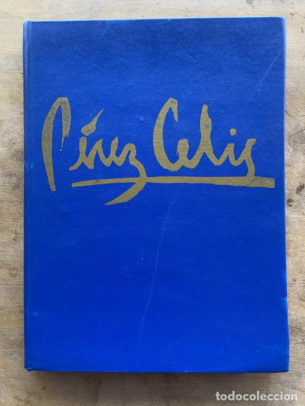 Libros de segunda mano: Perez Celis - Squirru Rafael