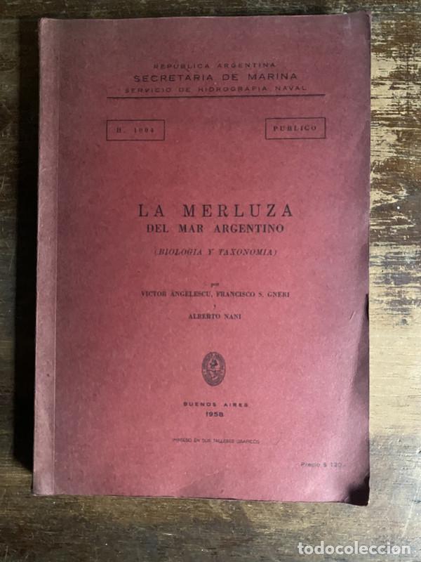 Libros de segunda mano: La Merluza del Mar Argentino - Angelescu Victor; Gneri Francisco S.; Nani Alberto