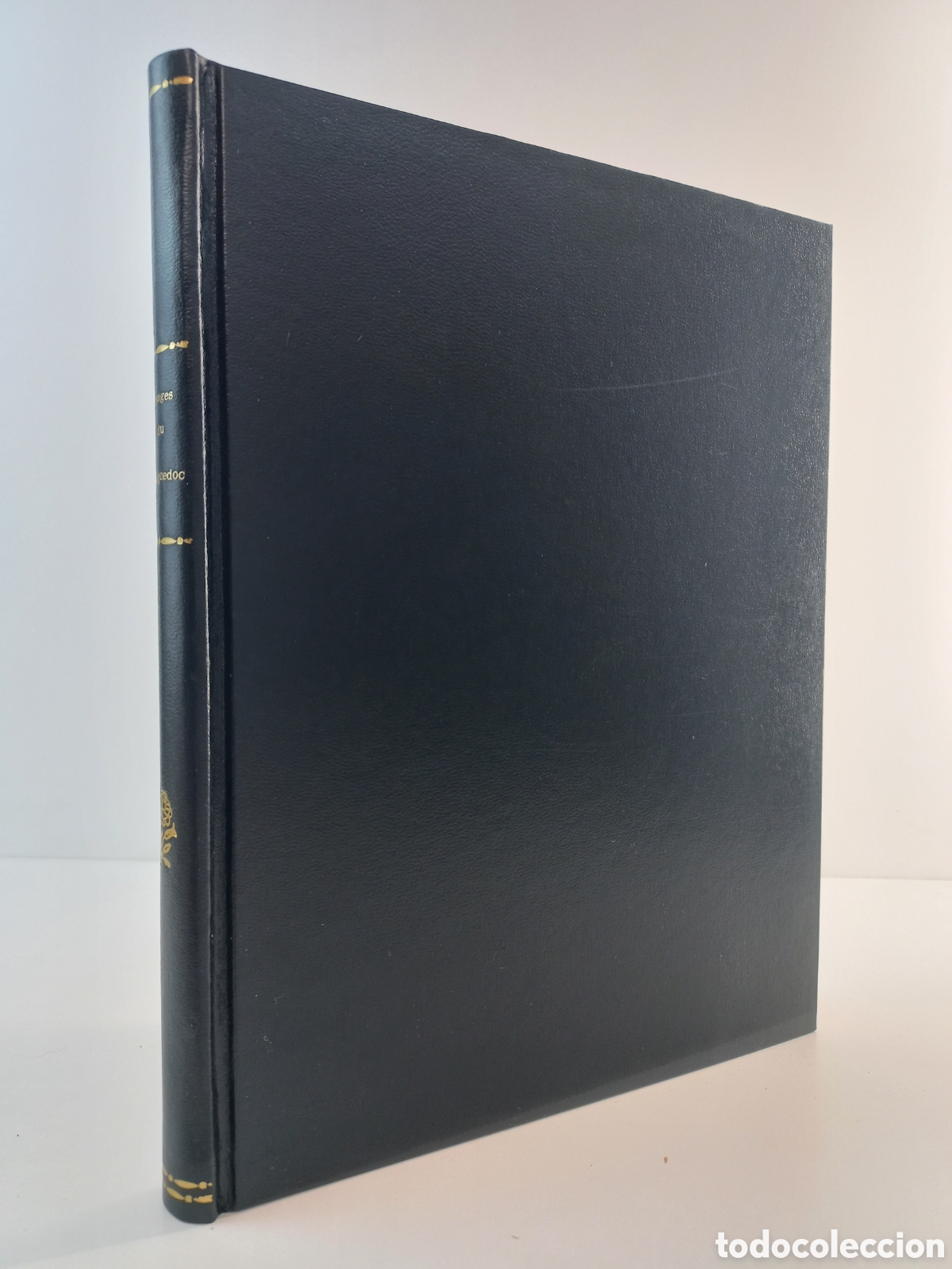 Libros de segunda mano: Vidages du Languedoc. VVAA. Horizons de France, 1949.