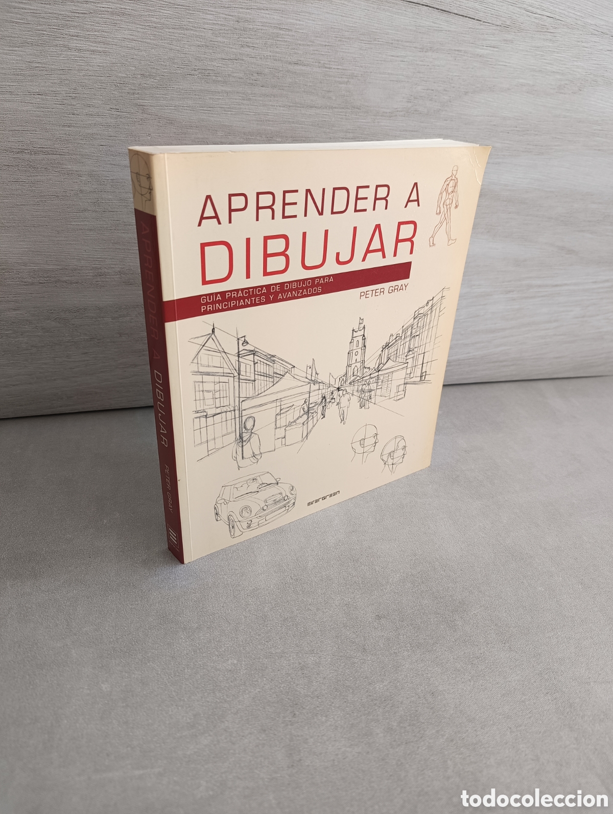 Libri di seconda mano: APRENDER A DIBUJAR. GU&Iacute;A PR&Aacute;CTICA DE DIBUJO PARA PRINCIPIANTES Y AVANZADOS - PETER GRAY - EVERGREEN