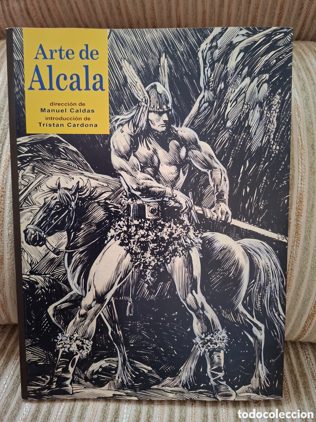Libros de segunda mano: ARTE DE ALCALA (Alfredo P. Alcala)