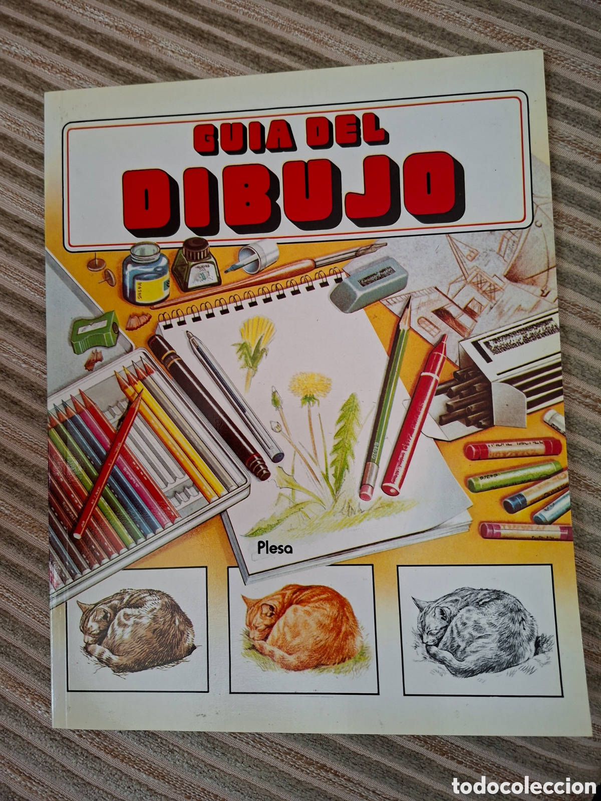 Libros de segunda mano: GUIA DEL DIBUJO, colecci&oacute;n &rdquo;El Joven Aficionado&rdquo;