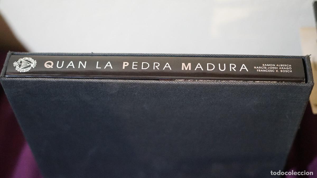 Libros de segunda mano: Alberch Arag&ograve; Bosch - Quan la pedra madura