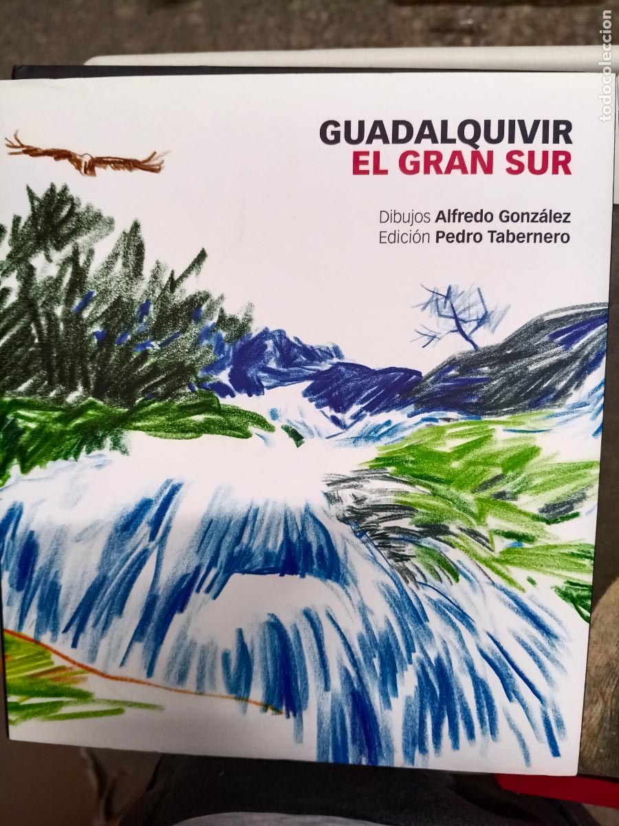 Libros de segunda mano: GUADALQUIVIR, EL GRAN SUR. DIBUJOS ALFREDO GONZ&Aacute;LEZ, EDICI&Oacute;N PEDRO TABERNERO.