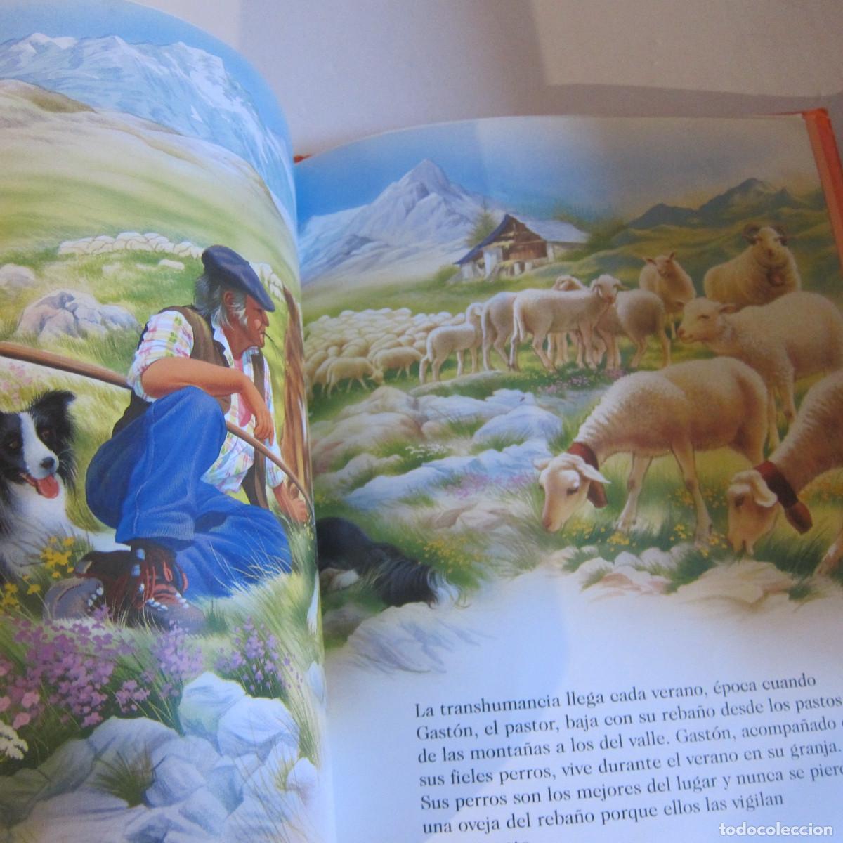 Libros de segunda mano: ANIMALES DEL PLANETA (HEMMA) INFANTIL - Foto 4