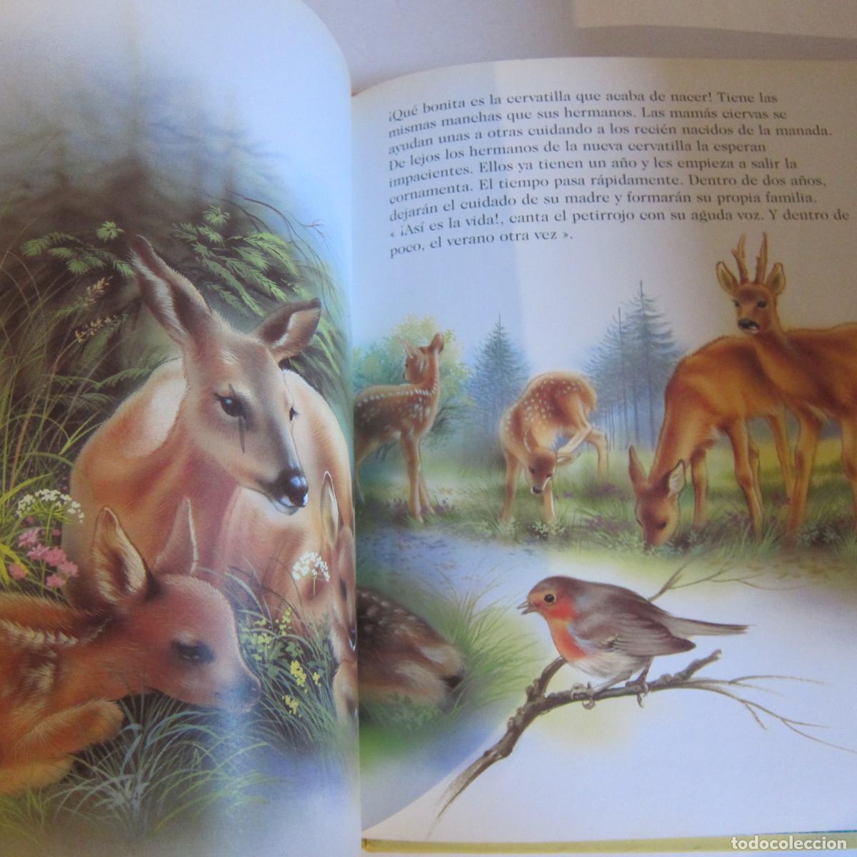 Libros de segunda mano: ANIMALES DEL PLANETA (HEMMA) INFANTIL - Foto 5