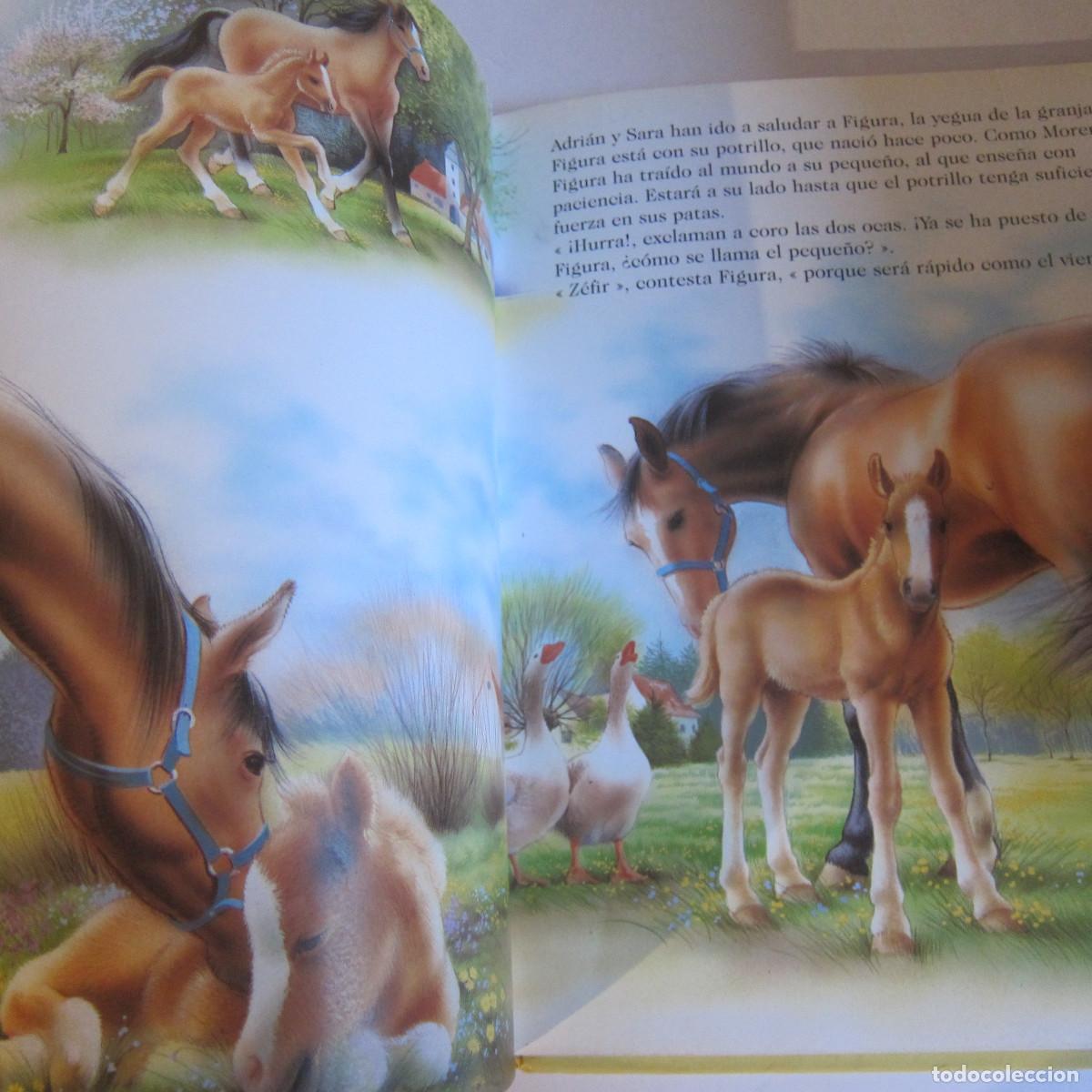 Libros de segunda mano: ANIMALES DEL PLANETA (HEMMA) INFANTIL - Foto 6