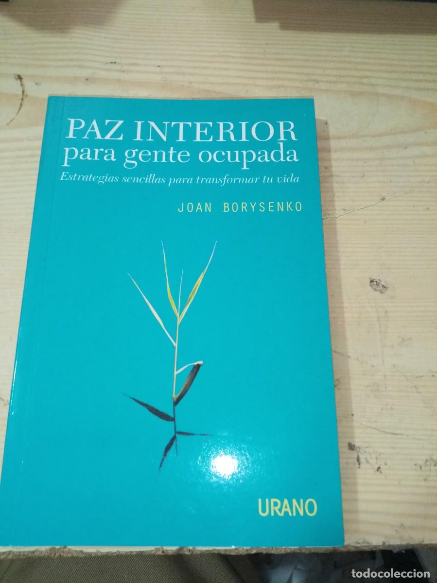 Libros de segunda mano: PAZ INTERIOR PARA GENTE OCUPADA. JUAN BORYSENKO EST31B1