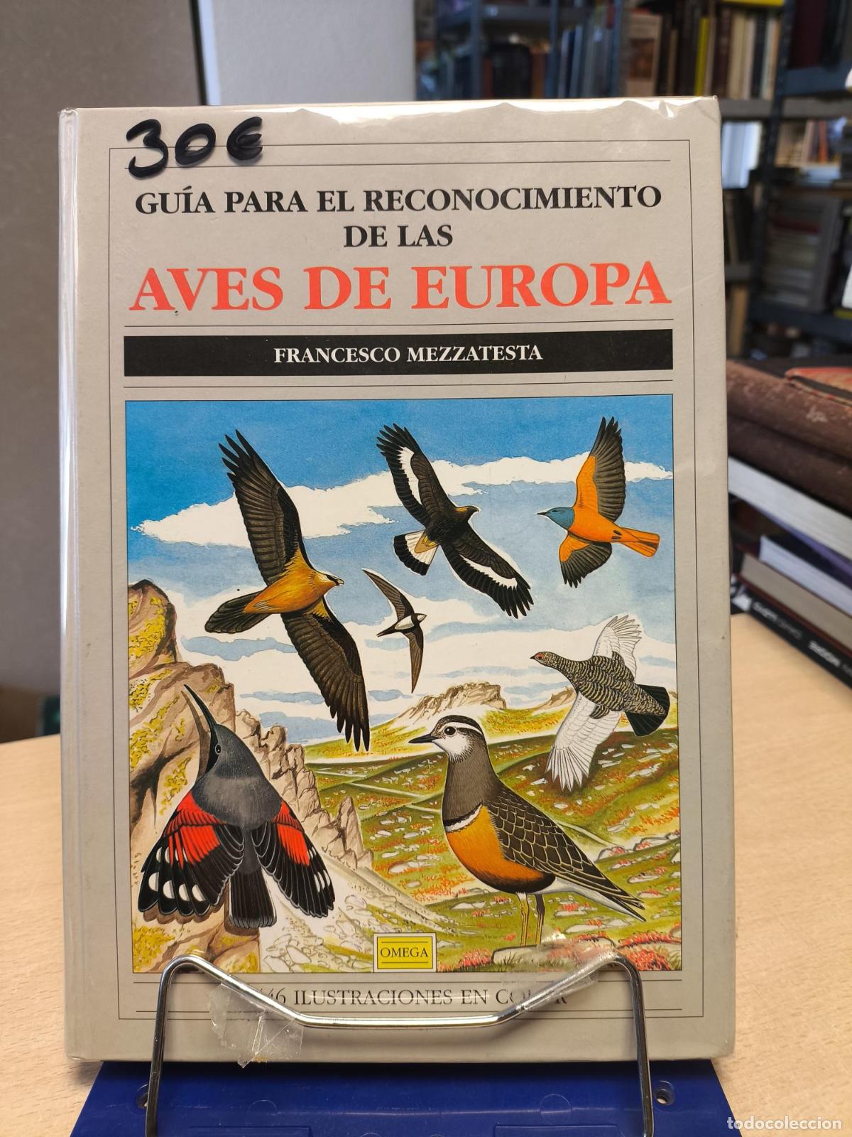 Libros de segunda mano: GUIA PARA RECONOCIMIENTO AVES EUROPA - OMEGA - Francesco Mezzatesta