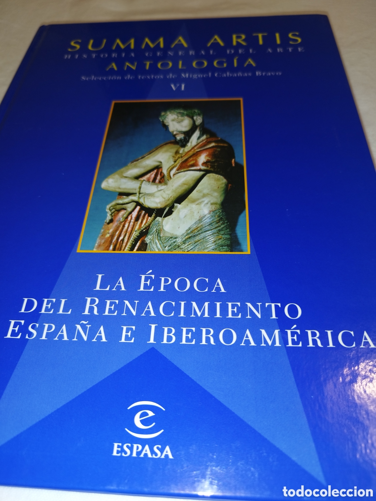 Libros de segunda mano: SUMMA ARTIS ANTOLOGIA TOMO VI: LA EPOCA DEL RENACIMIENTO EN ESPA&Ntilde;A E IBEROAMERICA. ESPASA, 2004