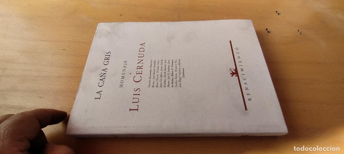 Libros de segunda mano: LA CA&Ntilde;A GRIS HOMENAJE A LUIS CERNUDA / JACOBO MU&Ntilde;OZ / KARA 11 / RENACIMIENTO