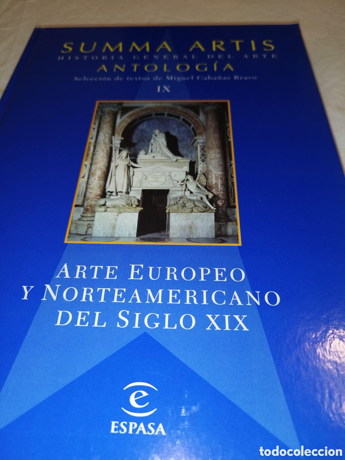 Libros de segunda mano: SUMMA ARTIS ANTOLOGIA TOMO IX: ARTE EUROPEO Y NORTEAMERICANO DEL SIGLO XIX. ESPASA, 2004 ILUSTRADO