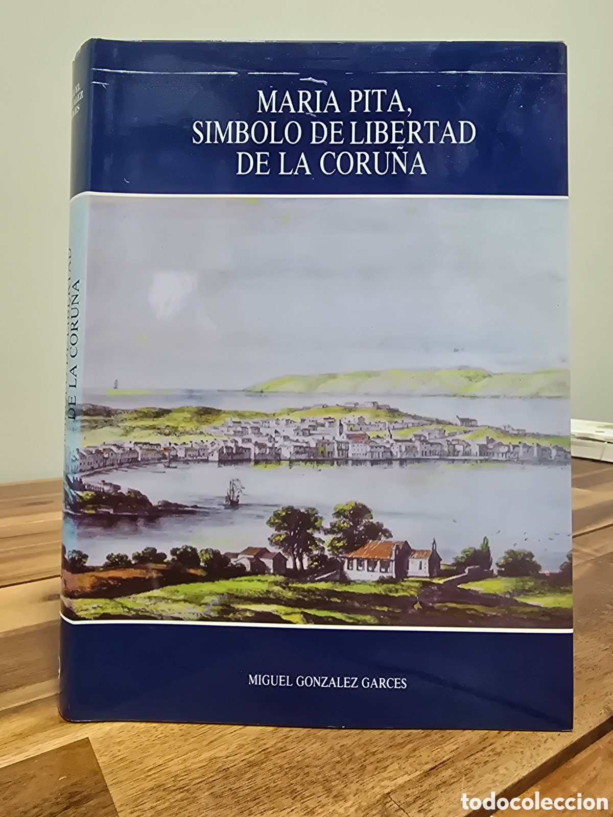 Libros de segunda mano: Mar&iacute;a Pita, s&iacute;mbolo de libertad de La Coru&ntilde;a MIGUEL GONZ&Aacute;LEZ GARCES Caixa Galicia 1989 historia