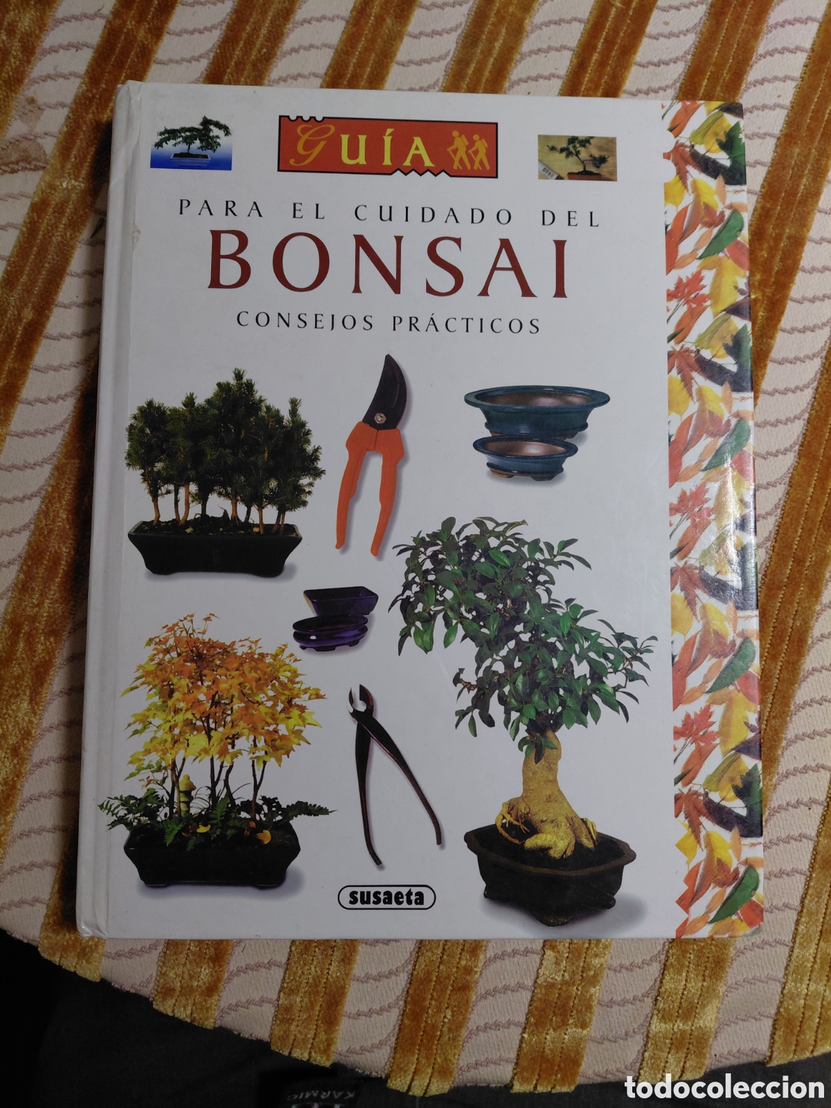 Livros em segunda m&atilde;o: Guia para el cuidado del bonsai, Nessmann