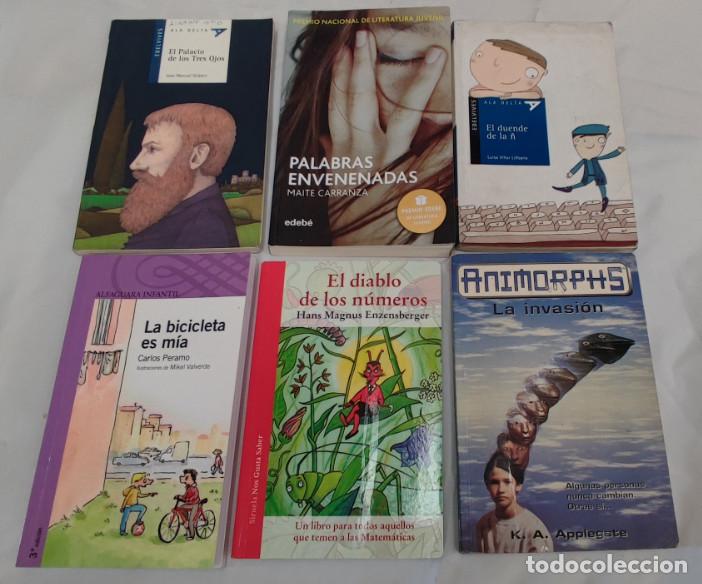 Libros de segunda mano: LOTE DE 6 LIBROS JUVENILES, ALFAGUARA SIRUELA EDELVIVES EDEBE ANIMORPHS