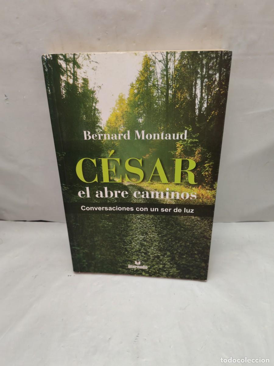 Libros de segunda mano: C&eacute;sar El Abre Caminos: Conversaciones con un ser luz (Primera edici&oacute;n) - Foto 1