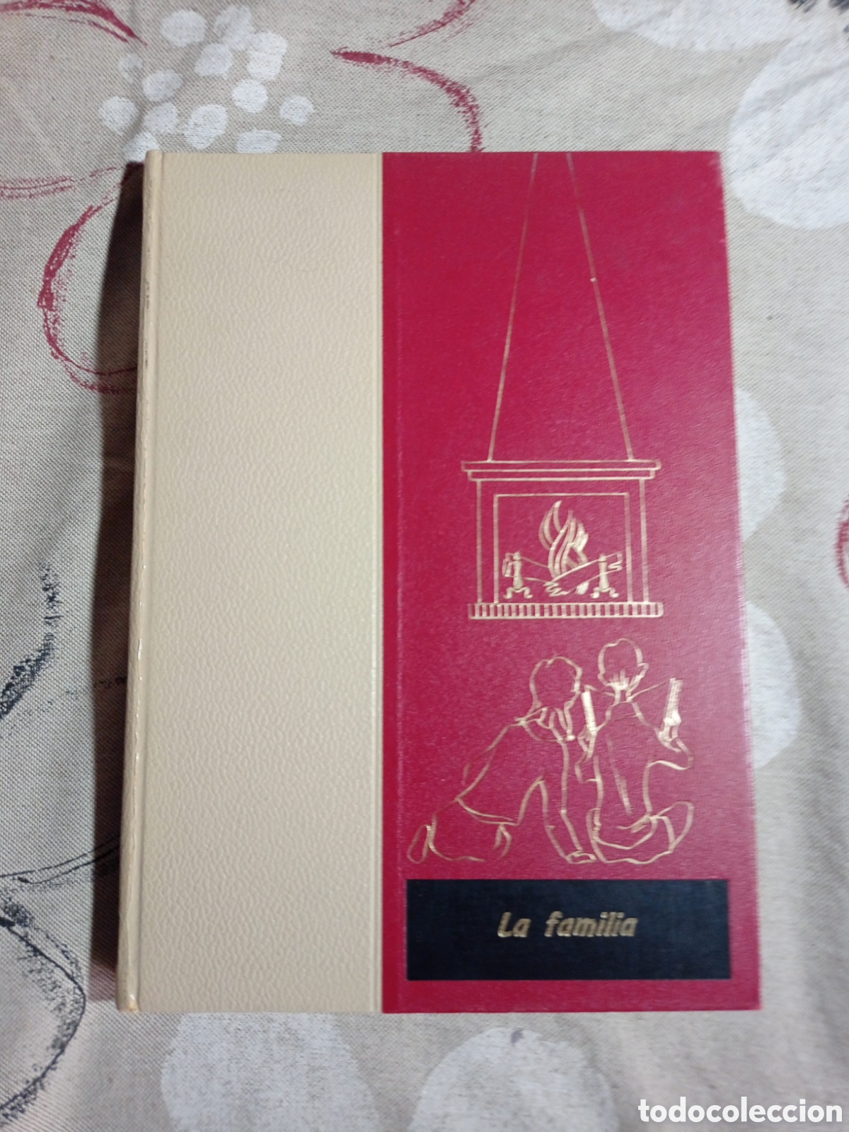 Libros de segunda mano: El mundo de los ni&ntilde;os. Salvat. Tomo 13: La familia