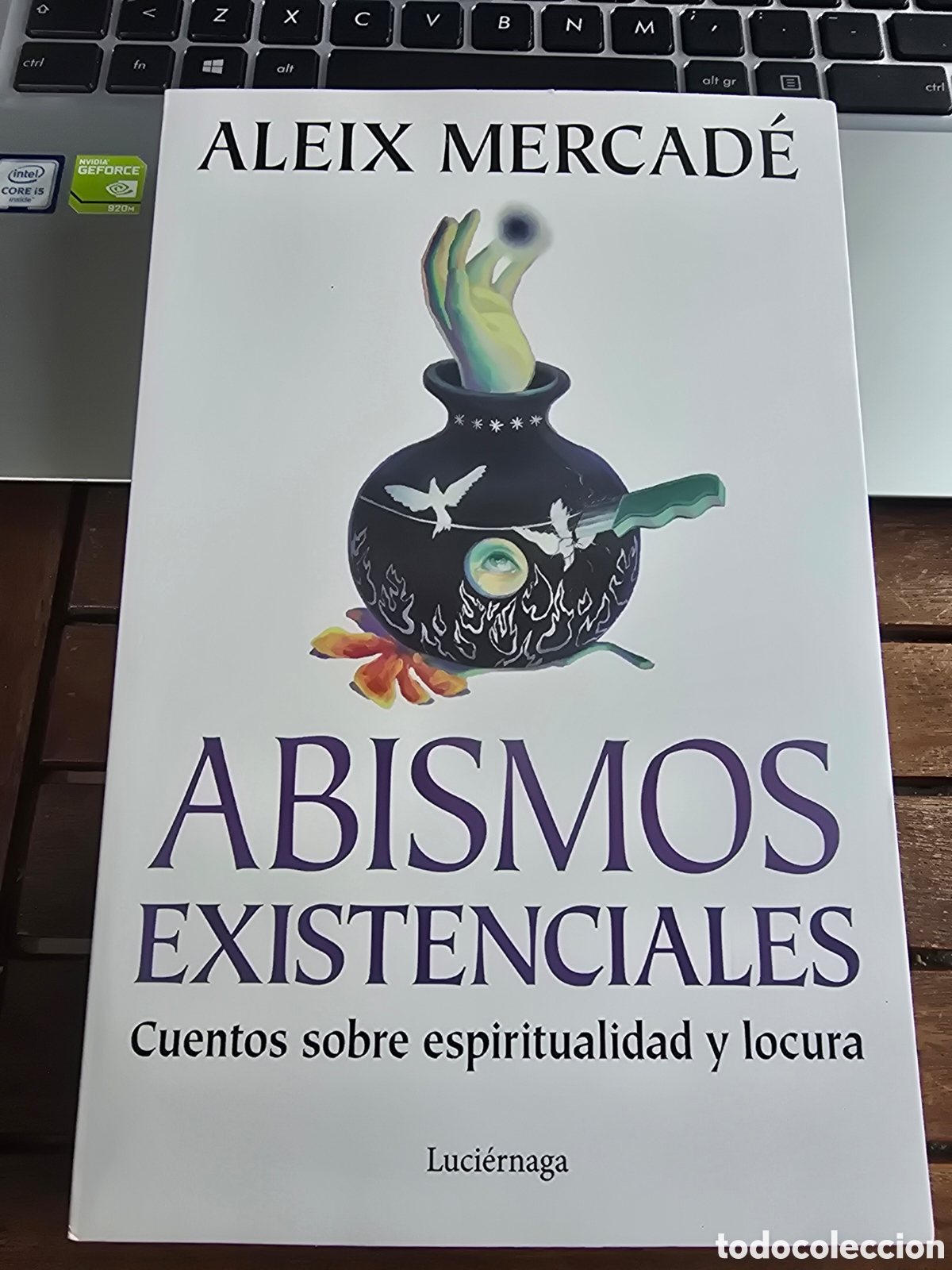 Libros de segunda mano: Abismos existenciales Cuentos sobre espiritualidad y locura Mercad&eacute; Aleix LUCIERNAGA 2025 esoterism