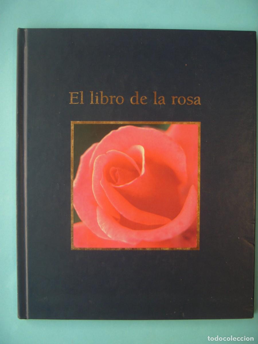 Libros de segunda mano: EL LIBRO DE LA ROSA - LOLA GAVARRON / MARIA LUISA ROJO - MYRURGIA, 1997 (ILUSTRADO, BUEN ESTADO)
