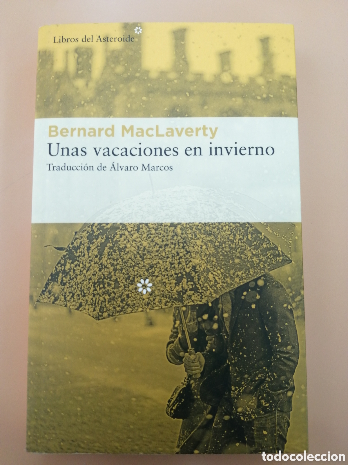 Libros de segunda mano: UNAS VACACIONES EN INVIERNO, BERNARD MACLAVERTY, LIBROS DEL ASTEROIDE