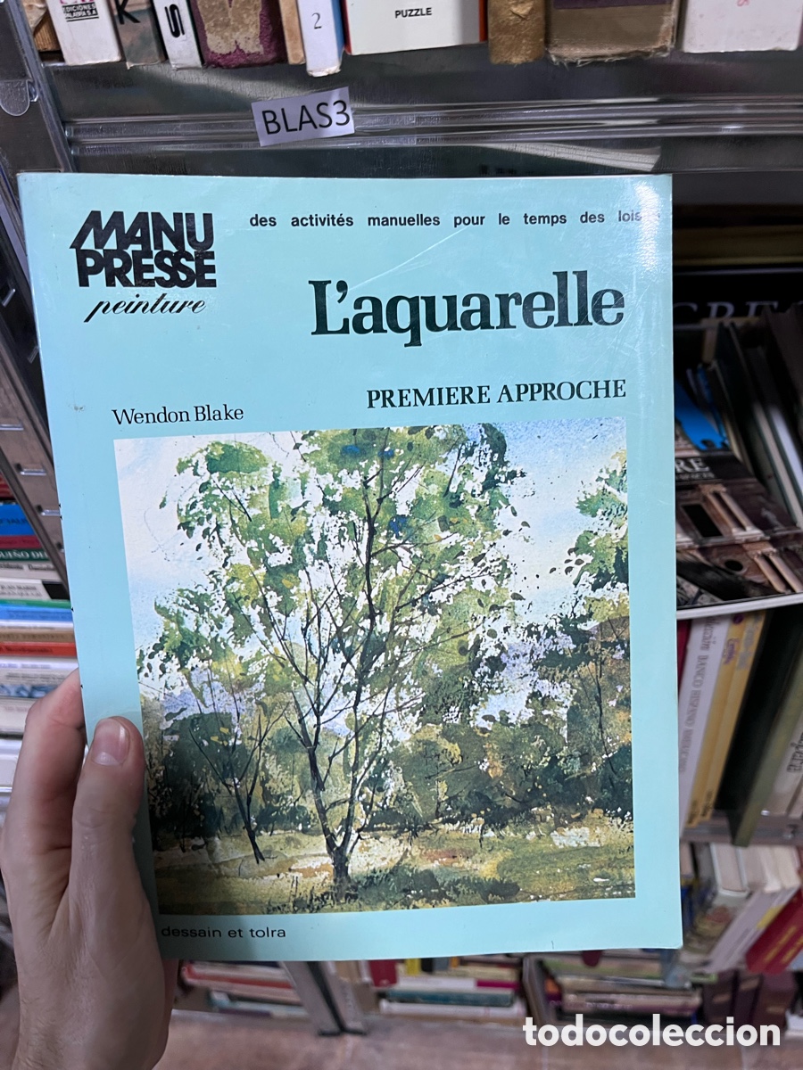 Libros de segunda mano: Blas3 Laquarelle PREMIERE APPROCHE Wendon Blake