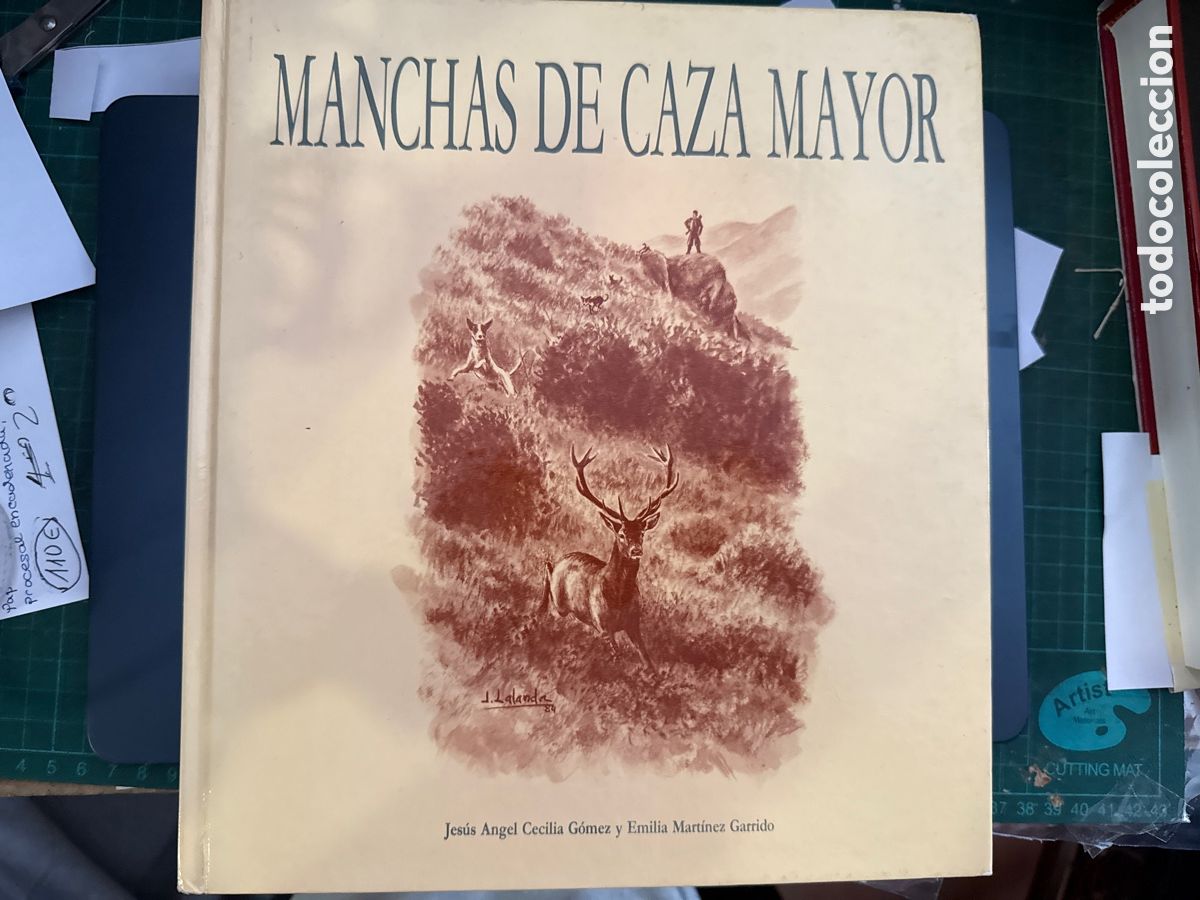 Libri di seconda mano: CECILIA G&Oacute;MEZ, Jes&uacute;s &Aacute;ngel. Manchas de caza mayor