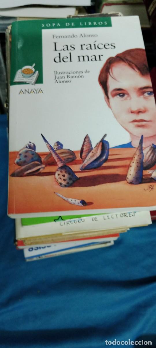 Libros de segunda mano: LAS RAICES DEL MAR FERNANDO ALONSO LIBRO GG-BTJ