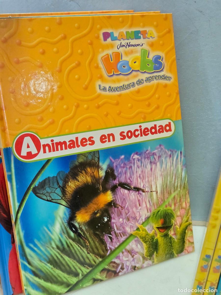 Libros de segunda mano: libro de estudios de jovenes - Foto 7